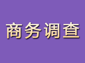 四平商务调查